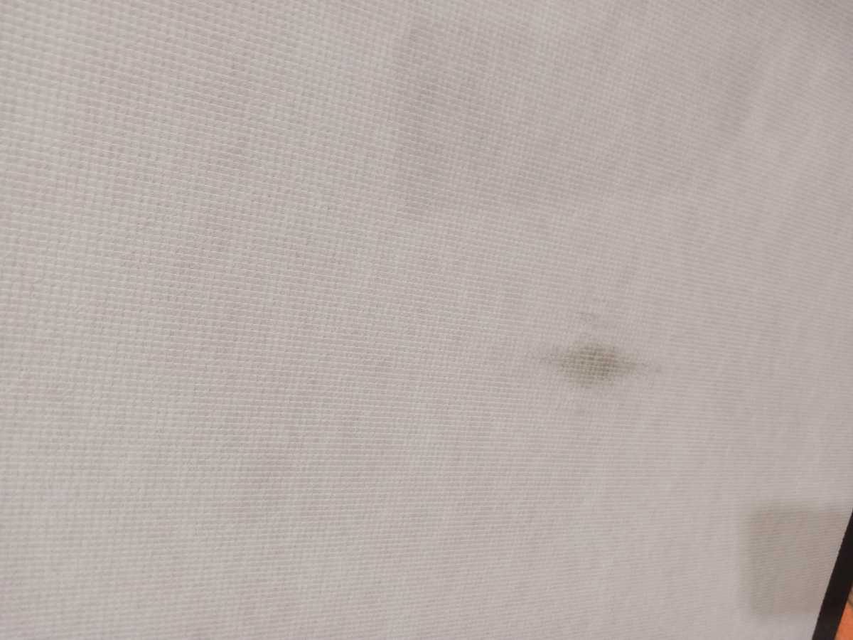 Sealy® Foundations - Queen/High Profile - Gallery Image 5